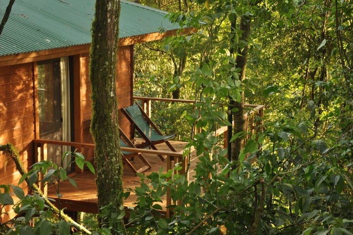 Descubre la belleza natural de Misiones con el paquete “Selva y Esteros” de Misiones Maravilla EVT. Moconá Virgin Lodge, un lugar lleno de magia en plena selva misionera.