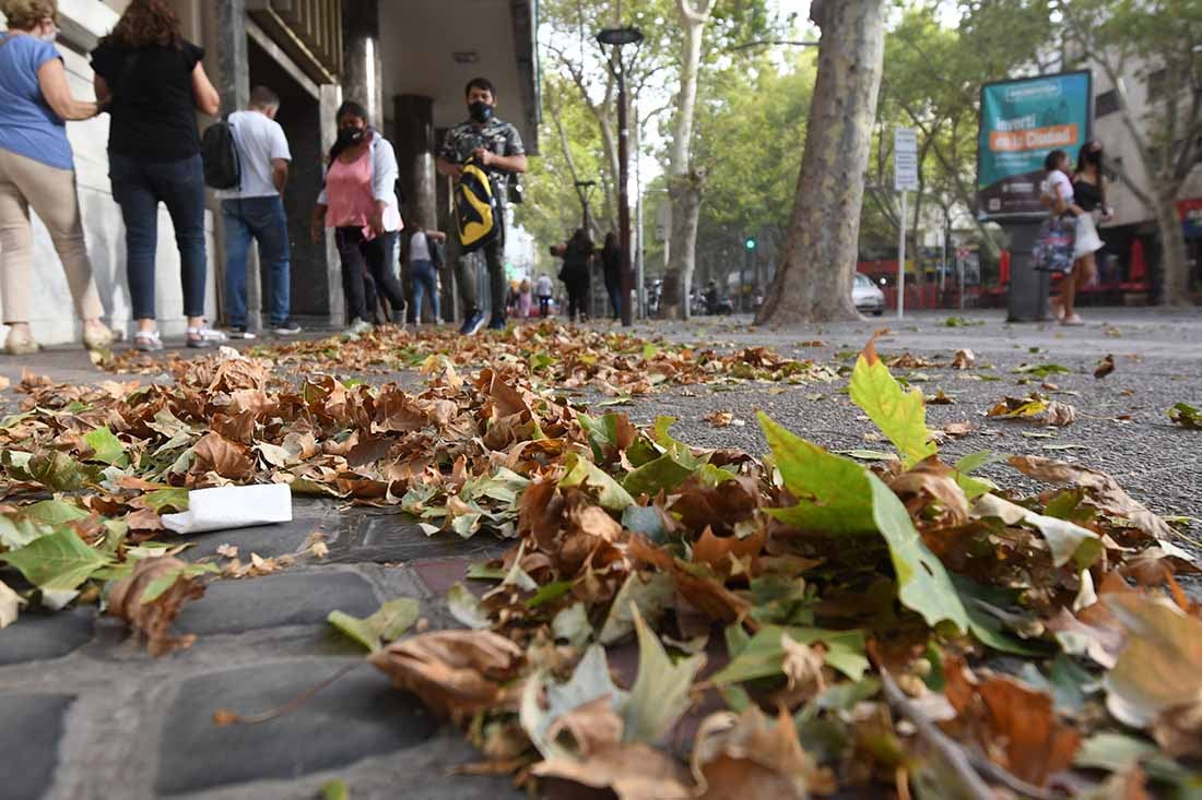 Fuertes ráfagas de viento del sur por el ingreso de un frente frío en Córdoba