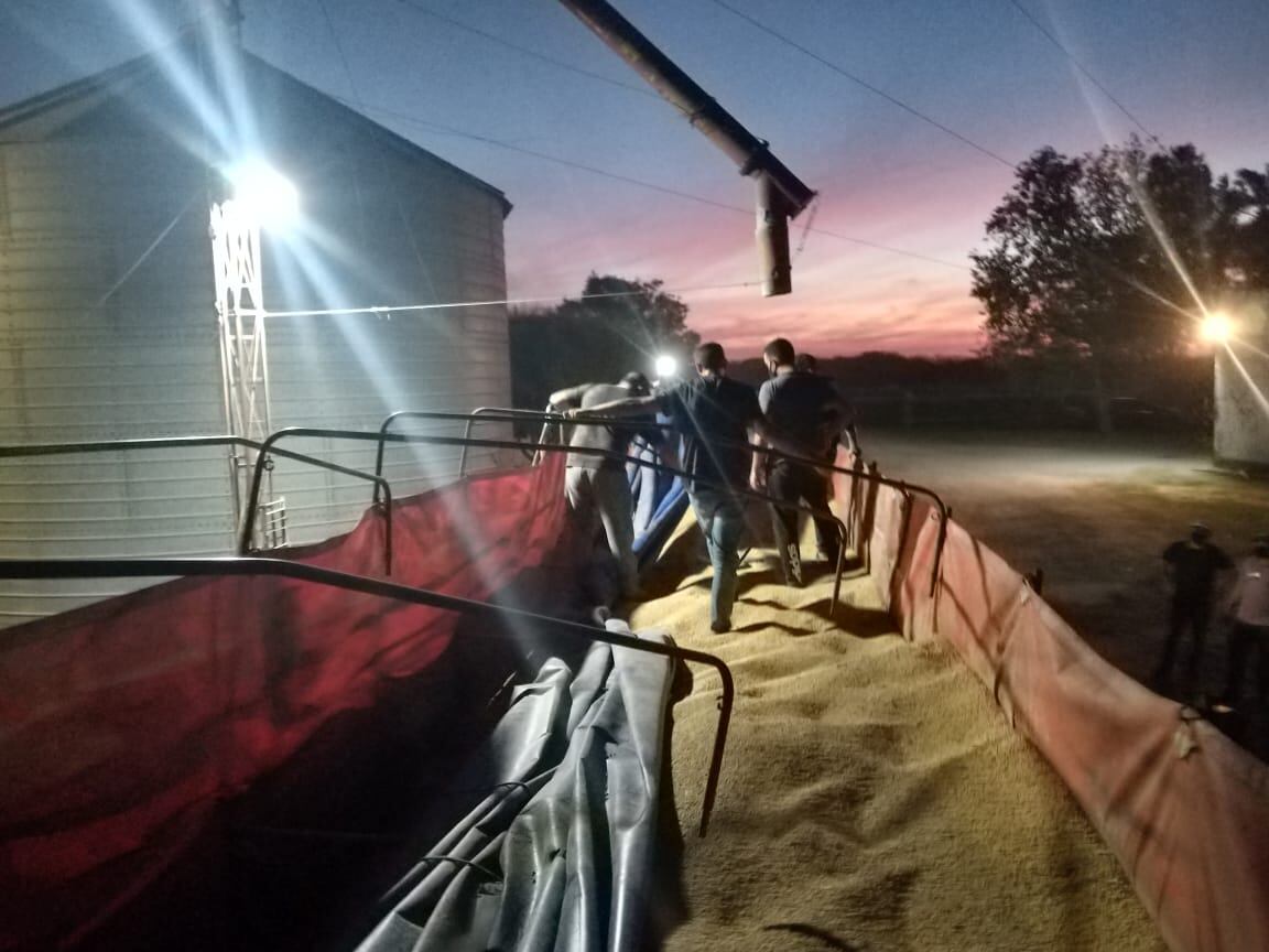 Encontraron hojas de coca debajo de una carga de cereales. Fue en San Cristóbal