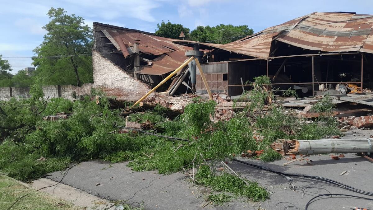 Temporal en Tres Arroyos: evacuados, árboles caídos, techos volados y daños