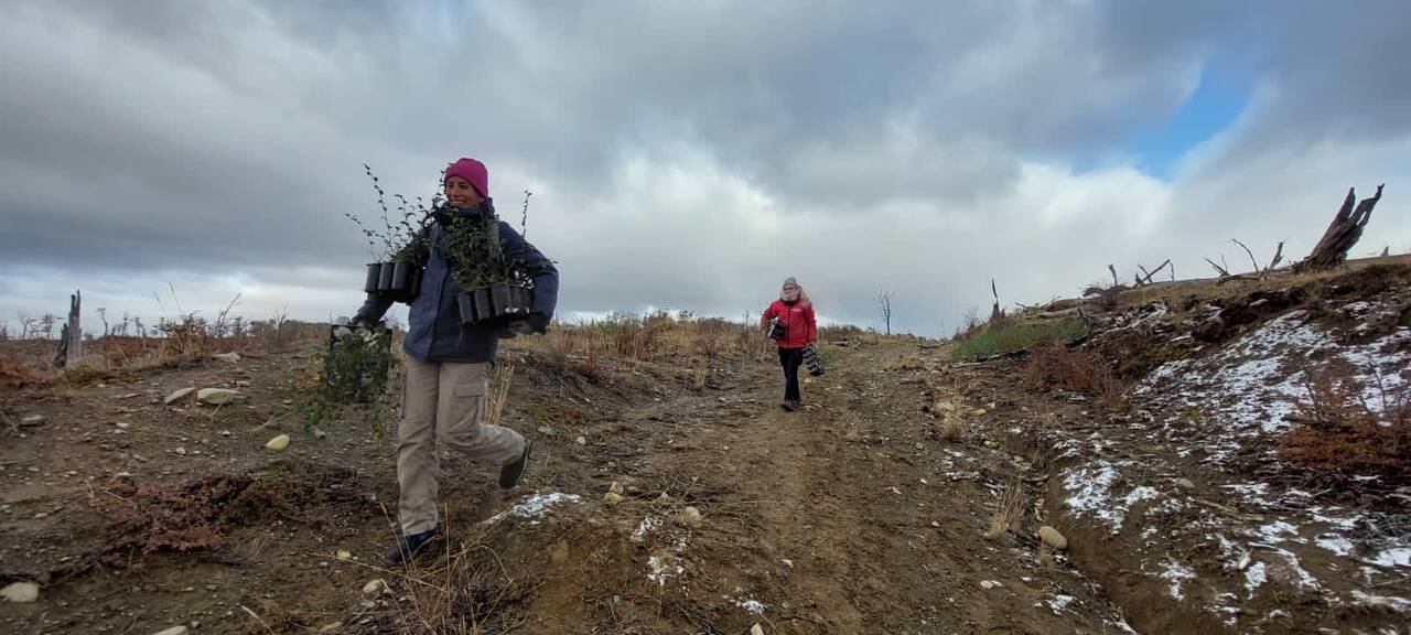 Tolhuin: realizaron acciones de restauración del bosque fueguino