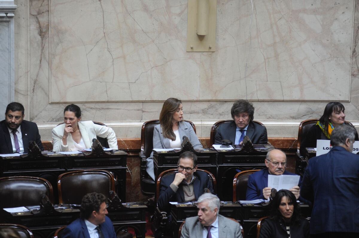 Diputados ya sesiona para tratar la reforma de Ganancias: Milei y un sector de Juntos por el Cambio dieron quórum