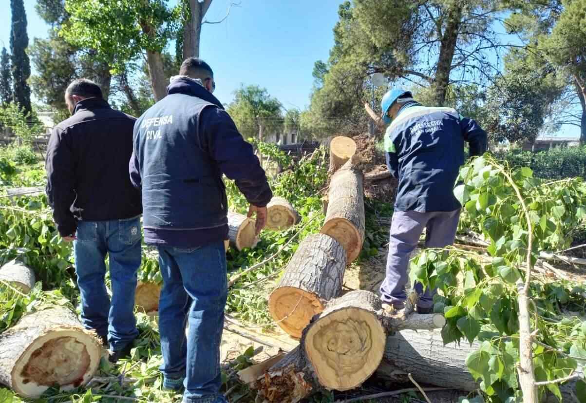 Las ráfagas de viento superaron los 100 kilómetros lo que generó la caída de decenas de árboles y grandes ramas en distintas zonas de San Rafael.