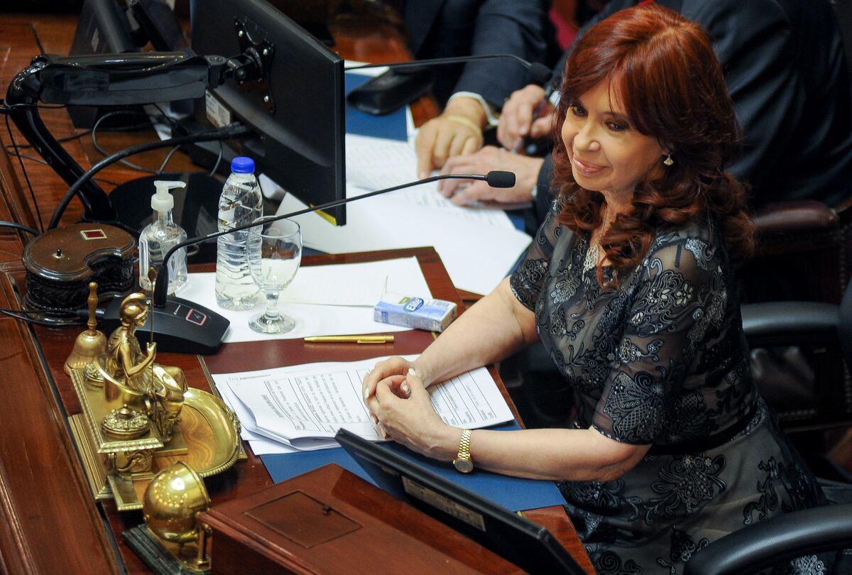 El Frente de Todos partió su bloque en el Senado para quedarse con un lugar más en el Consejo de la Magistratura