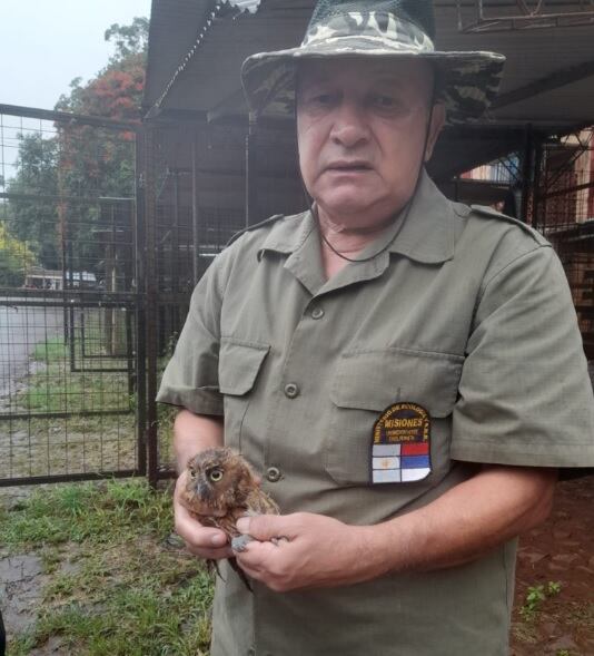 Trasladan a “Güira Oga” dos ejemplares que se encontraban heridos y cautivos.