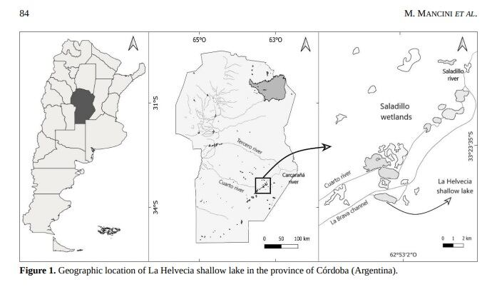 Córdoba. Investigadores de Río Cuarto y el hallazgo de dos nuevos peces en la provincia (Gentileza Miguel Mancini).