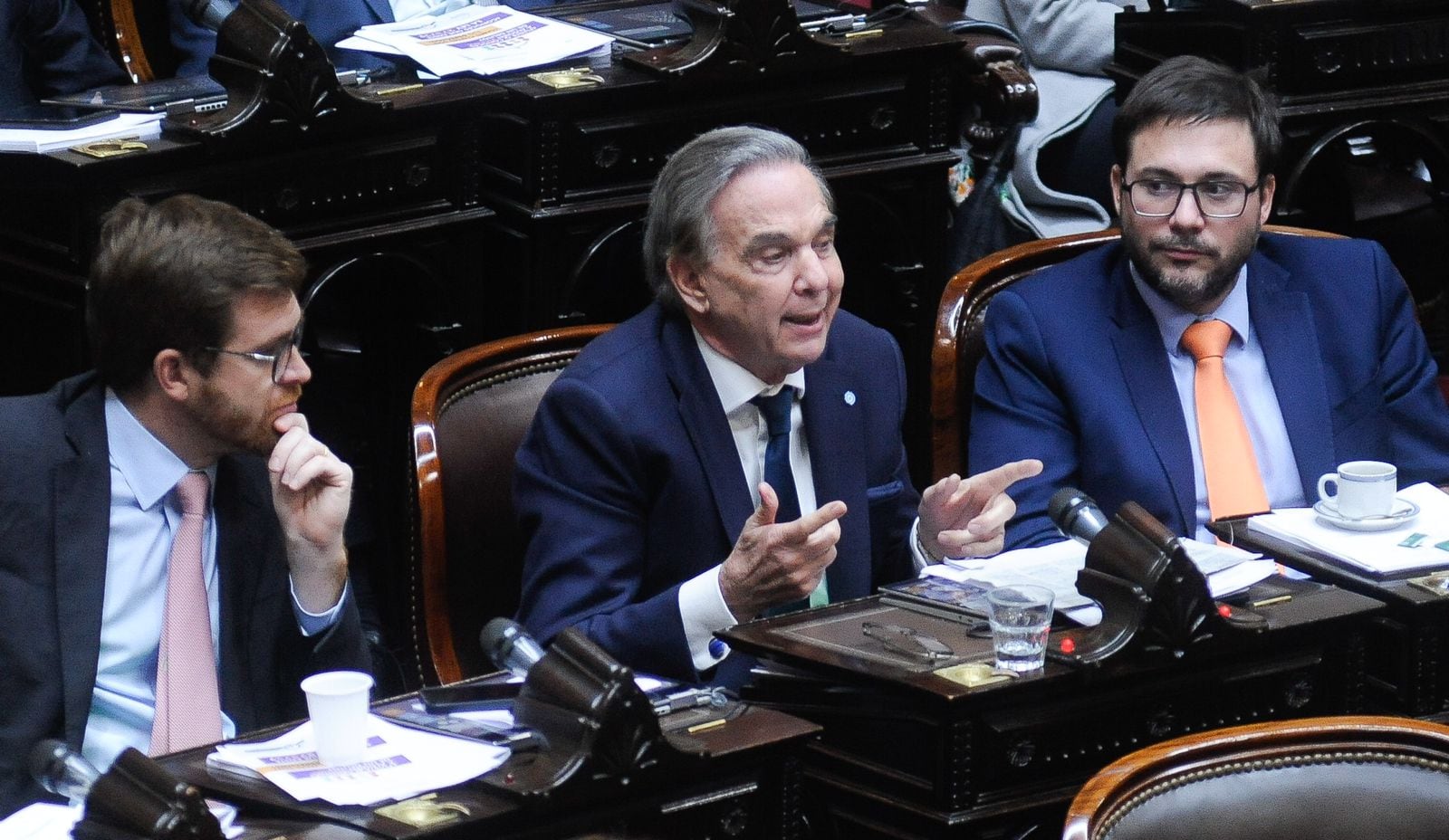 El debate de la Ley Bases en Diputados. (Federico López Claro / La Voz)