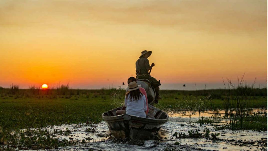 El Parque Nacional Iberá, ubicado en la provincia de Corrientes, posee una superficie de 183.500 hectáreas pertenecientes a la ecorregión de los Esteros del Iberá. (Fundación Rewilding Argentina)