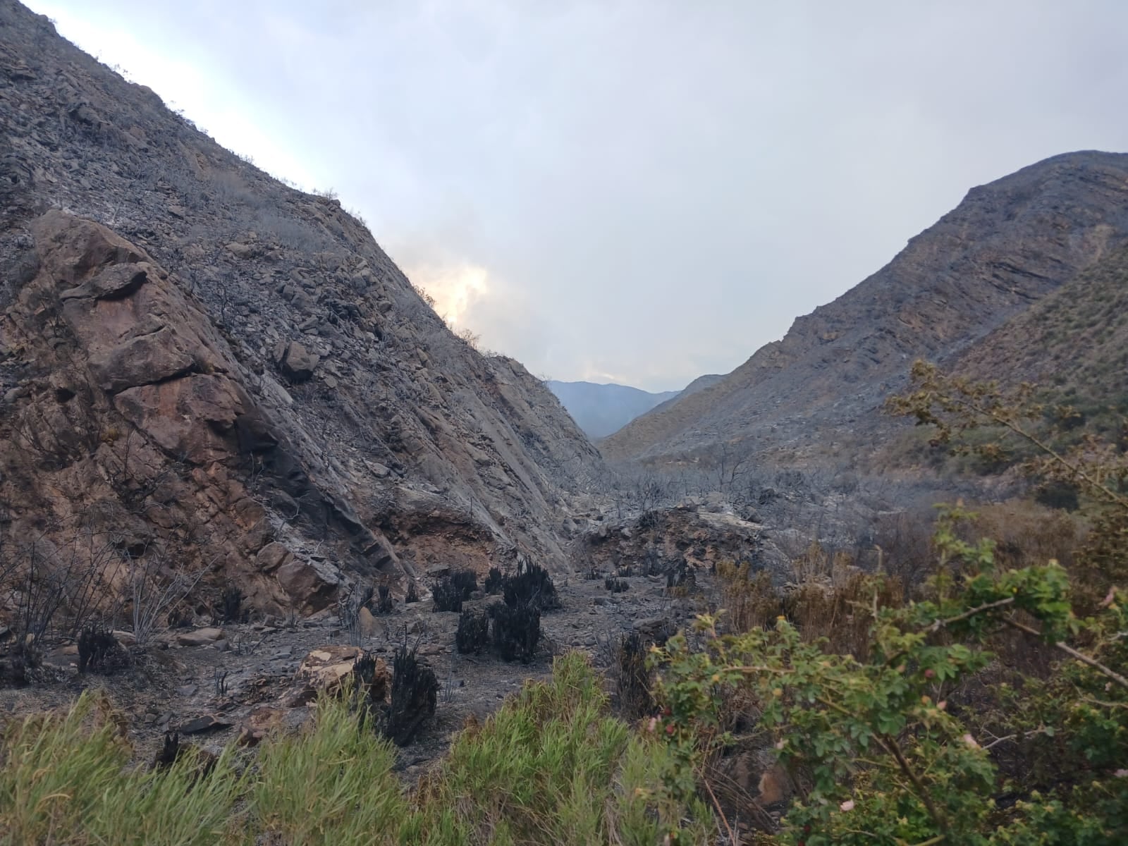 Incendio en cerro peral, en El Challao, controlado.