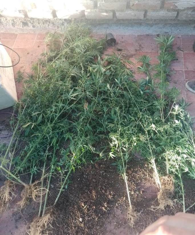 La policía antinarcóticos incautó cocaína y marihuana en San Martín y Las Heras.