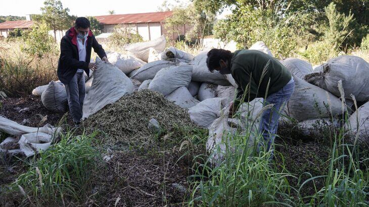 General Urquiza: el INYM clausuró un molino clandestino