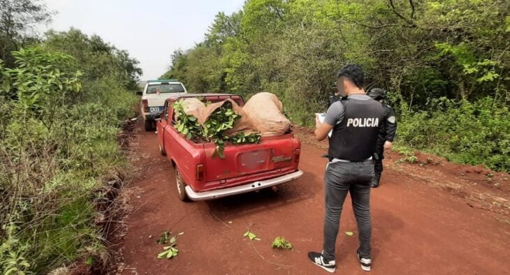 Un hombre terminó detenido por el robo de hoja verde en Apóstoles.