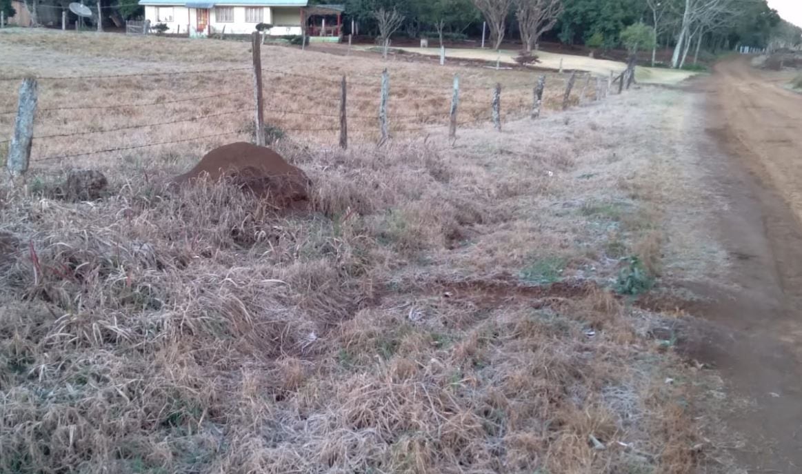 Las heladas afectan negativamente a los productores locales.