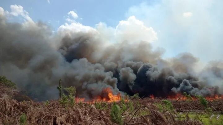 Imágenes del fuego retratadas por Marcelo Salinas.