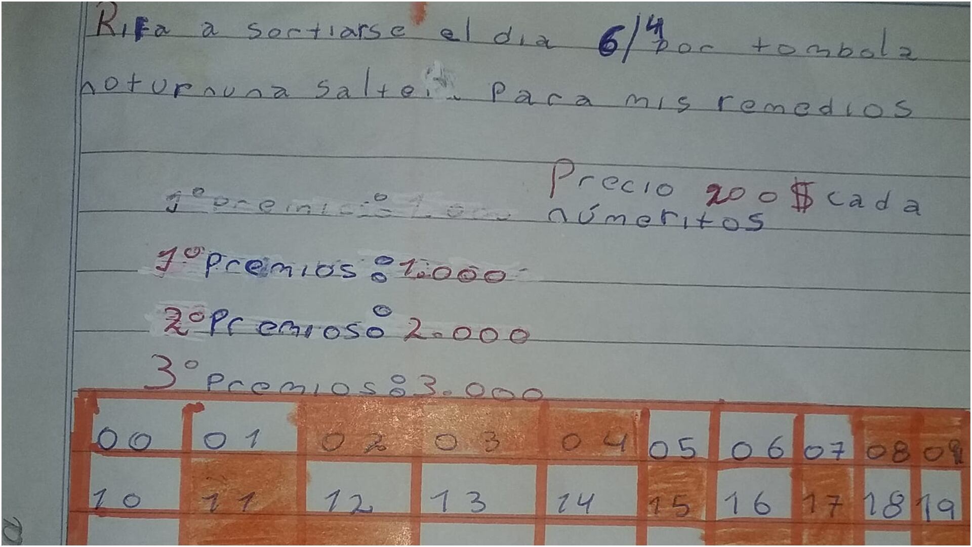 Salteña de 9 años armó una rifa para pagarse sus medicamentos.