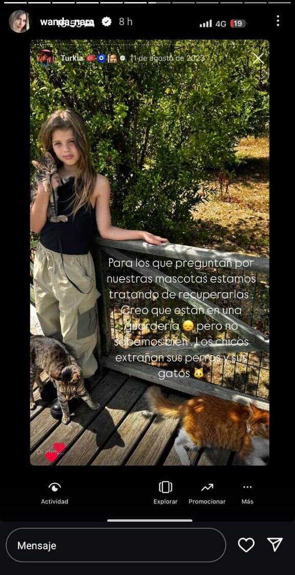 El pedido de Wanda Nara para recuperar a sus mascotas