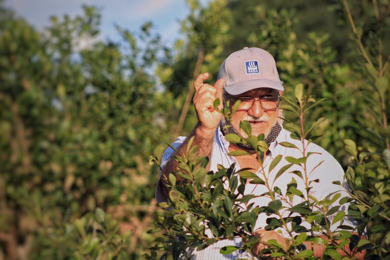 Campo Viera y Campo Grande: capacitaciones a productores de yerba