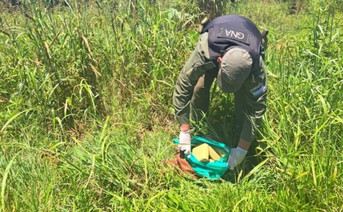 Puerto Esperanza: gendarmería secuestró marihuana