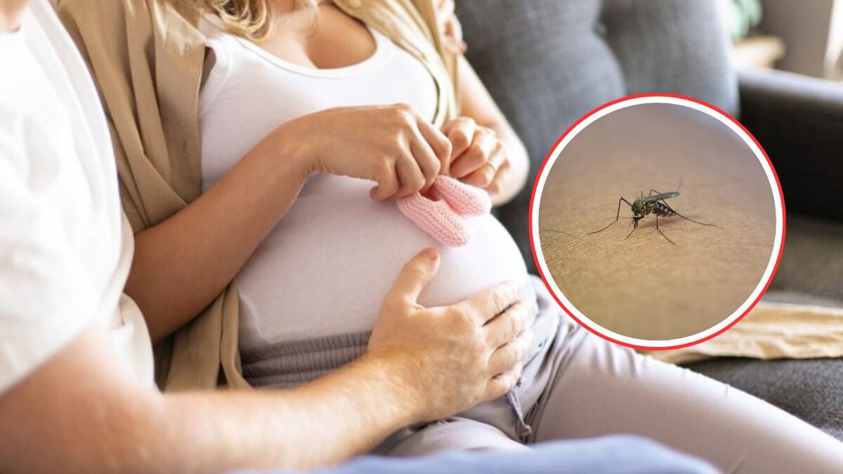 Embarazada y con dengue: ¿existe algún riesgo para el bebé?