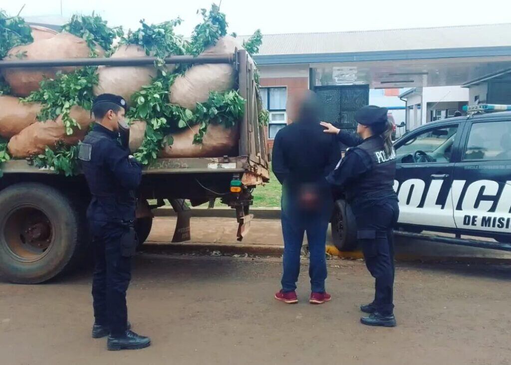 Capioví: se hizo pasar por el dueño del campo e intentó robar cosecha de yerba mate.