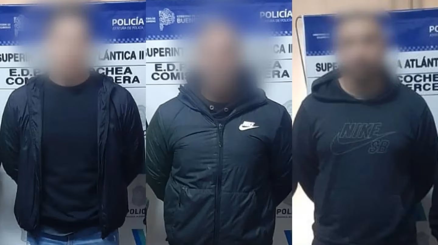 Los patovicas de Necochea, detenidos