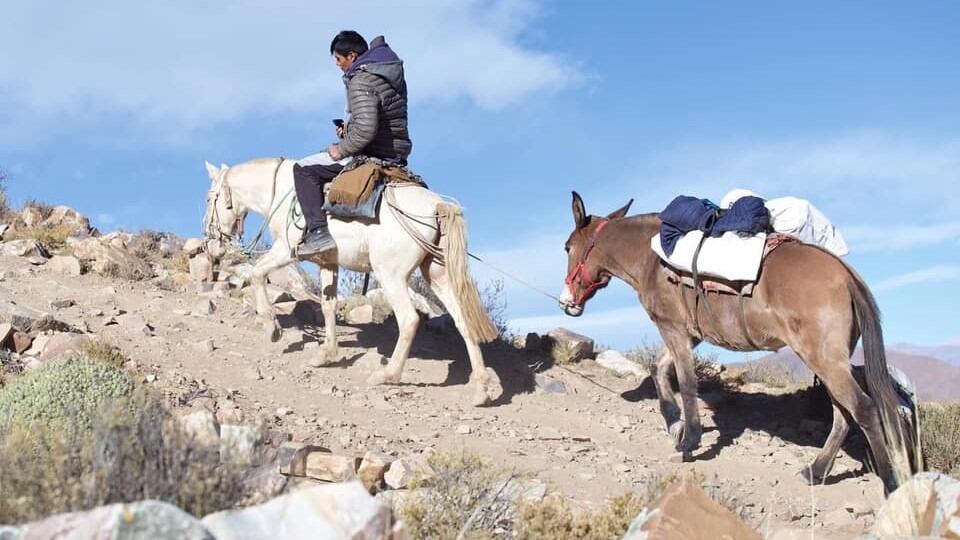 12 horas de camino a lomo de mula para poder alcanzar las urnas a El Durazno, provincia de Jujuy