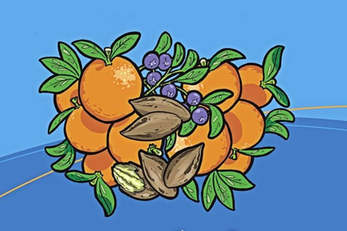 La paleta de colores de las ilustraciones abarca una gama entre el verde, el naranja y el azul.