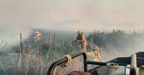 Incendio Refugio Canino Arroyito