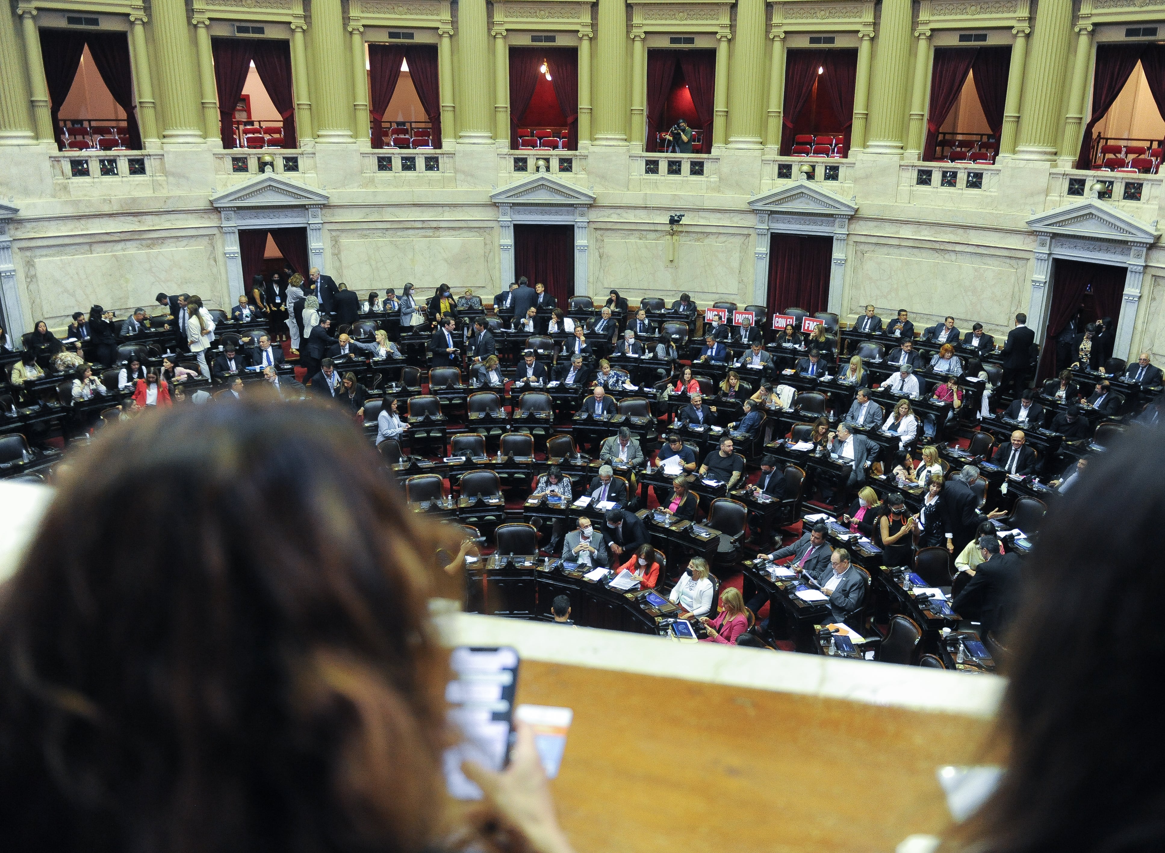 El acuerdo con el FMI viene de obtener la media sanción de la Cámara de Diputados. (Foto Federico Lopez Claro)