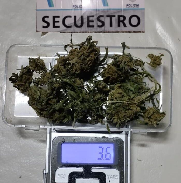 Secuestraron plantas de marihuana en el domicilio de un aprehendido por amenazar de muerte a su pareja