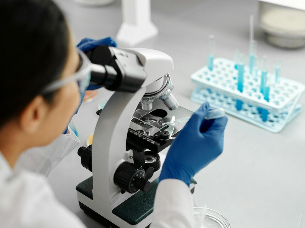 Cómo es el test que revela tus orígenes y si sos propenso a diabetes ...