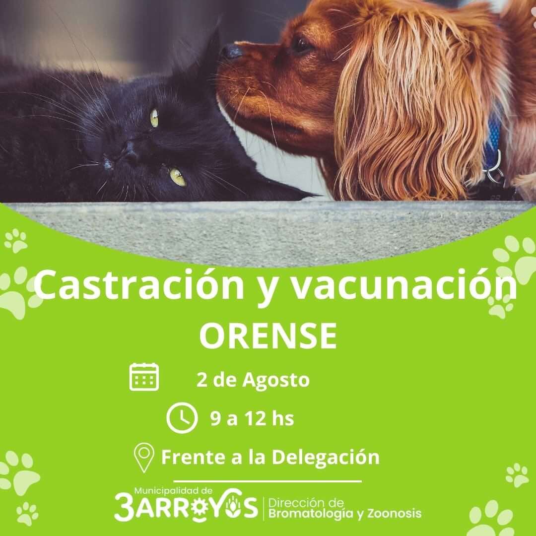 Castracion y Vacunación de animales en Orense y San Francisco de Bellocq