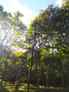 Se realizan trabajos de mejoras en el servicio de energía