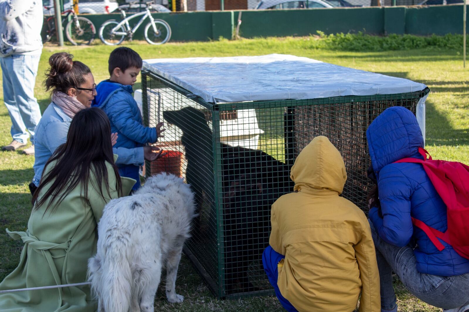 Primera jornada de actividades por el Día del Animal