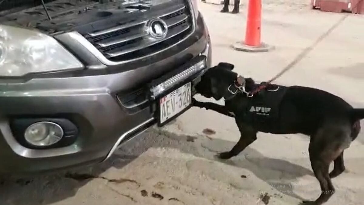 Viajaban desde Perú trayendo droga, pero en Jujuy los descubrieron