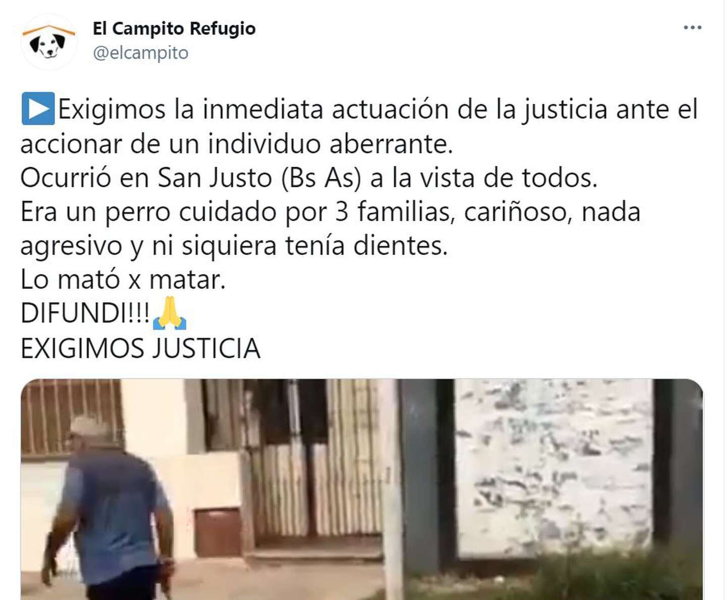 El video que fue difundido en las redes sociales.