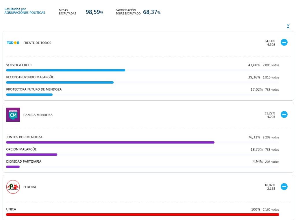 Datos oficiales, resultados PASO 2021 en Malargüe.