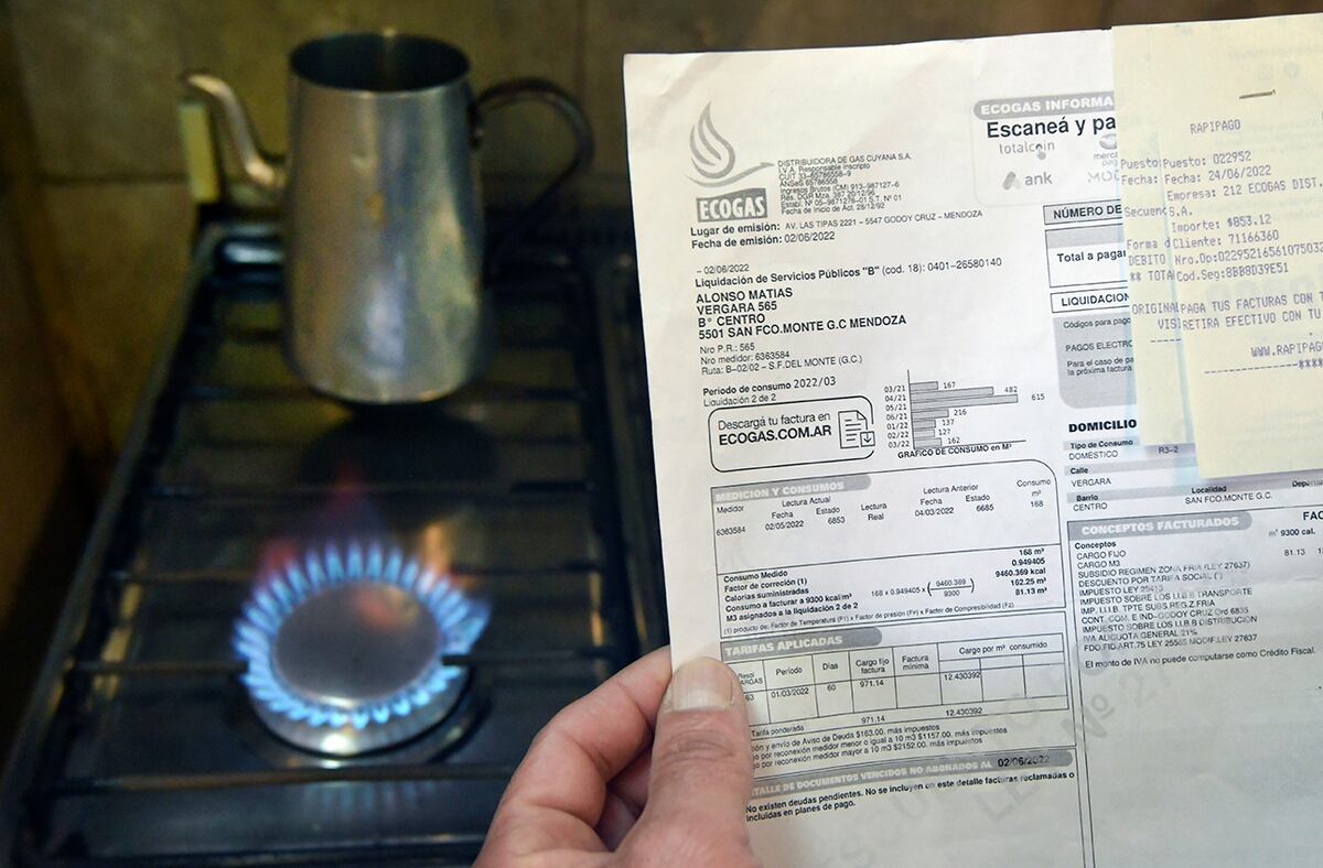 Calefacción de luz o de gas ¿Qué es más barato este invierno en Argentina?