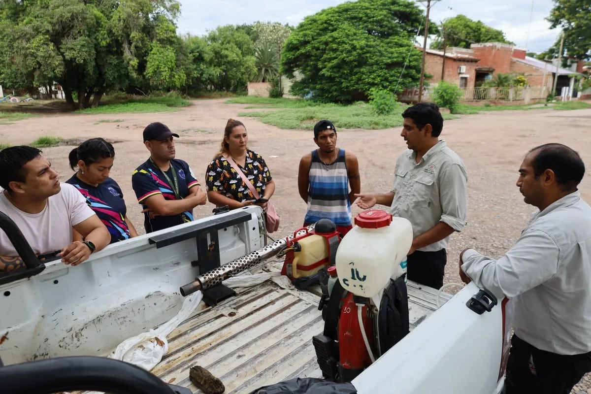 La aplicación de insecticidas es una medida de control destinada a eliminar a los mosquitos adultos, pero no es útil para eliminar los huevos ni las larvas.