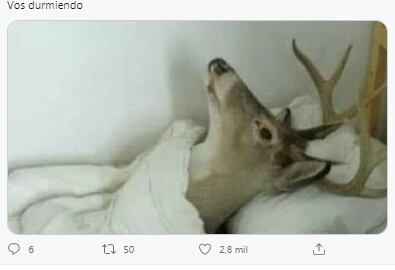 Memes de Twitter.