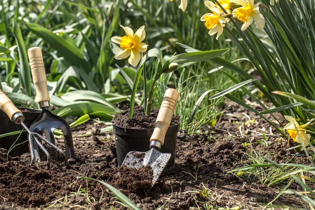 El equinoccio de Primavera trae consigo cambios importantes en las energías. (Foto: Freepik).