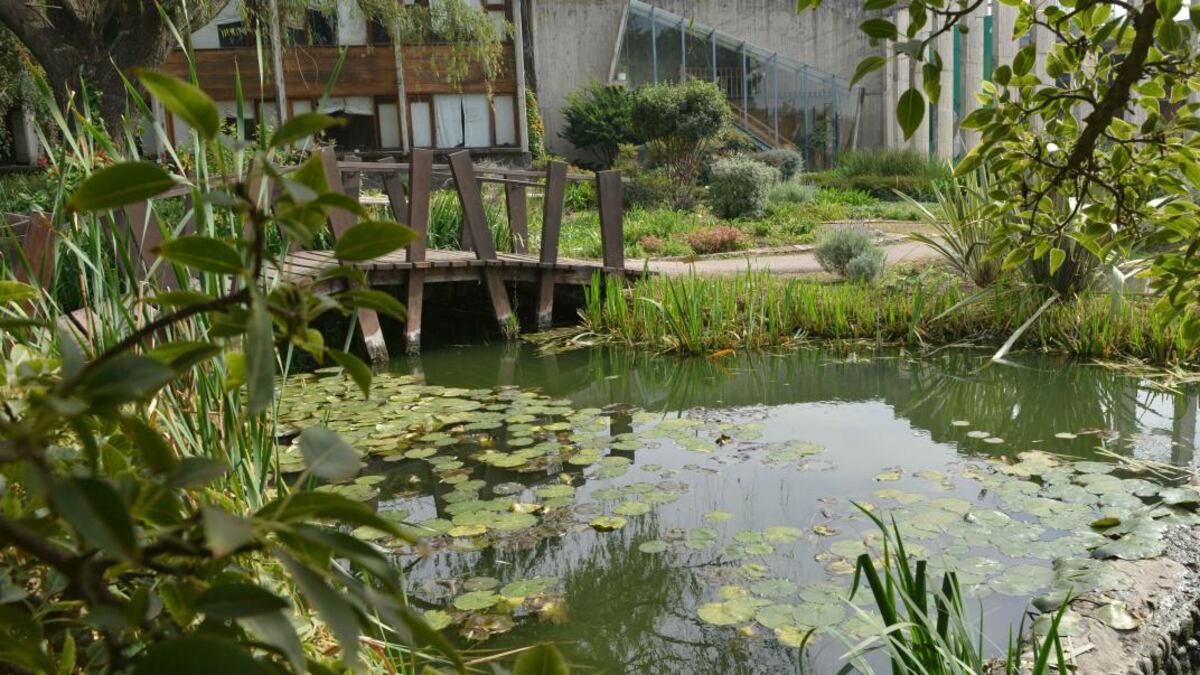 Reabrió sus puertas el Jardín Botánico de Córdoba