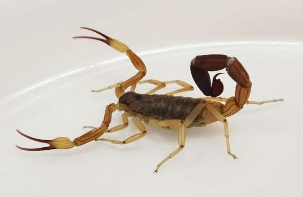 K7ZP75QWZBDE7ND2HPR2DHRLTY