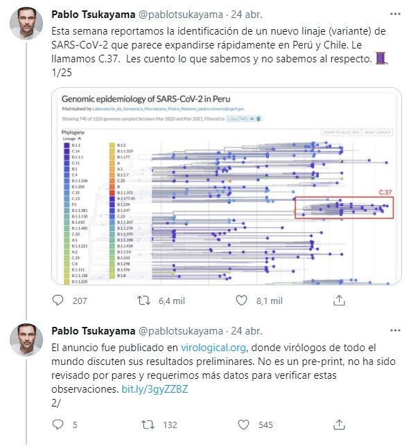 Captura del hilo de Twitter del doctor Pablo Tsukayama sobre la variante o cepa andina del coronavirus.