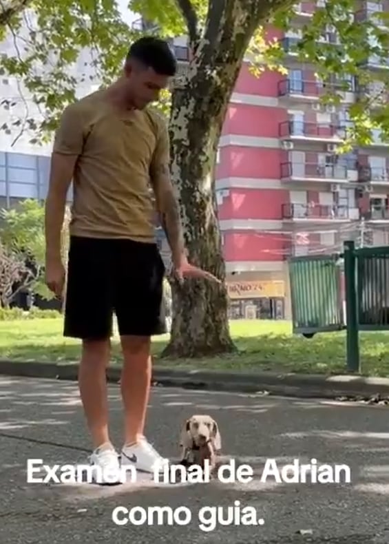 Un jugador de Independiente se recibió de adiestrador canino y sorprendió a los hinchas con el video