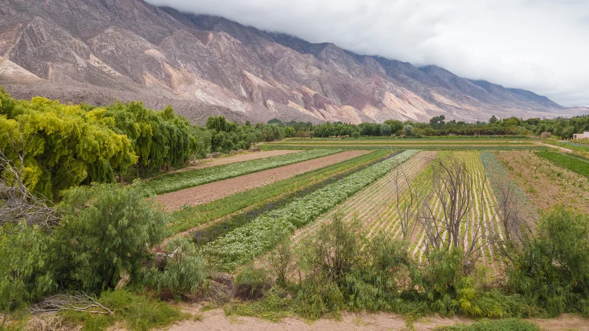 Las apacibles vistas de la Quebrada de Humahuaca, como estos paisajes de Maimará, serán magníficos escenarios de la ciclovía que se construirá a partir de la licitación del programa "La Ruta Natural".