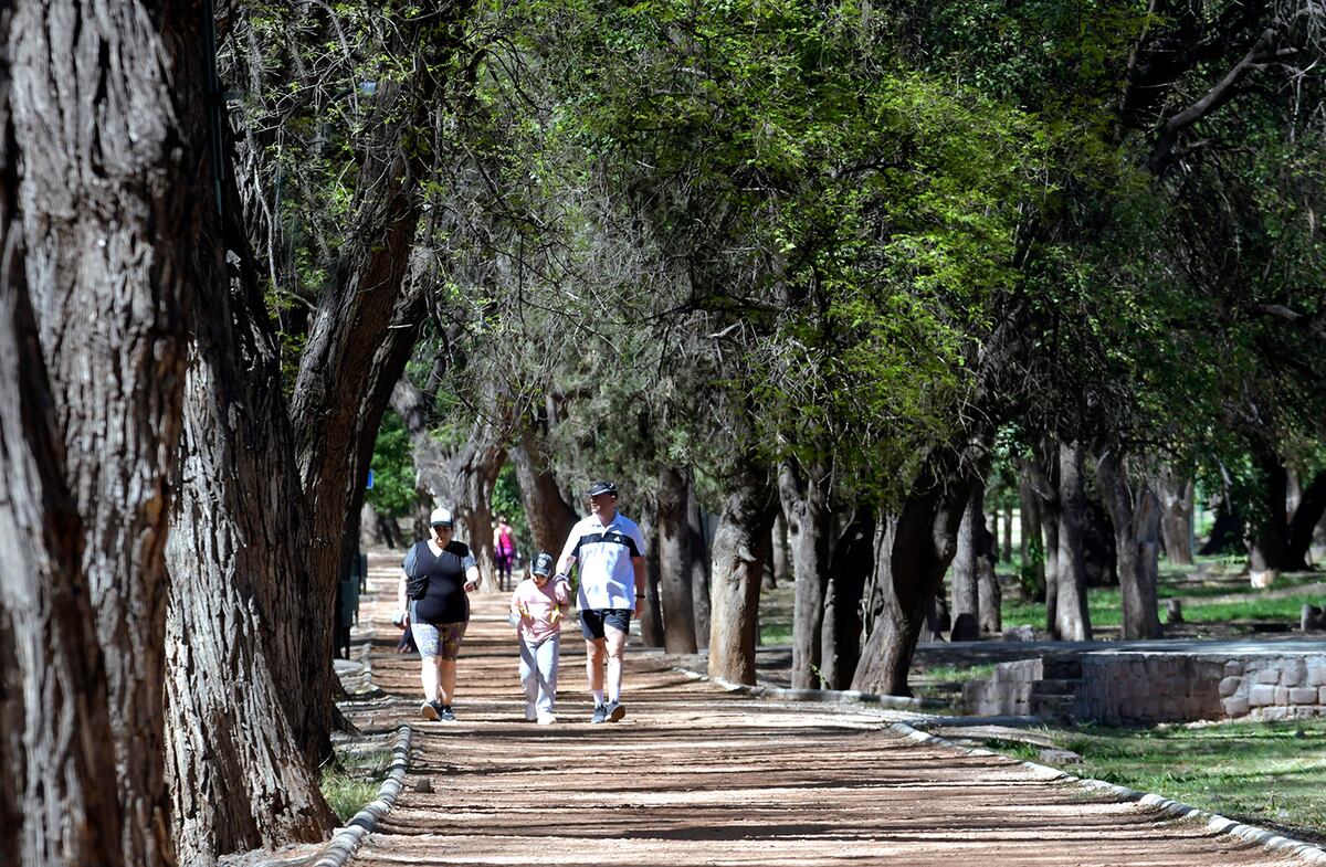 Clima en Mendoza: ascenso de la temperatura para este lunes con tormentas por la noche