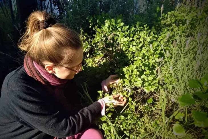 Elena descubrió un mundo nuevo con la cocina no convencional con plantas silvestres.