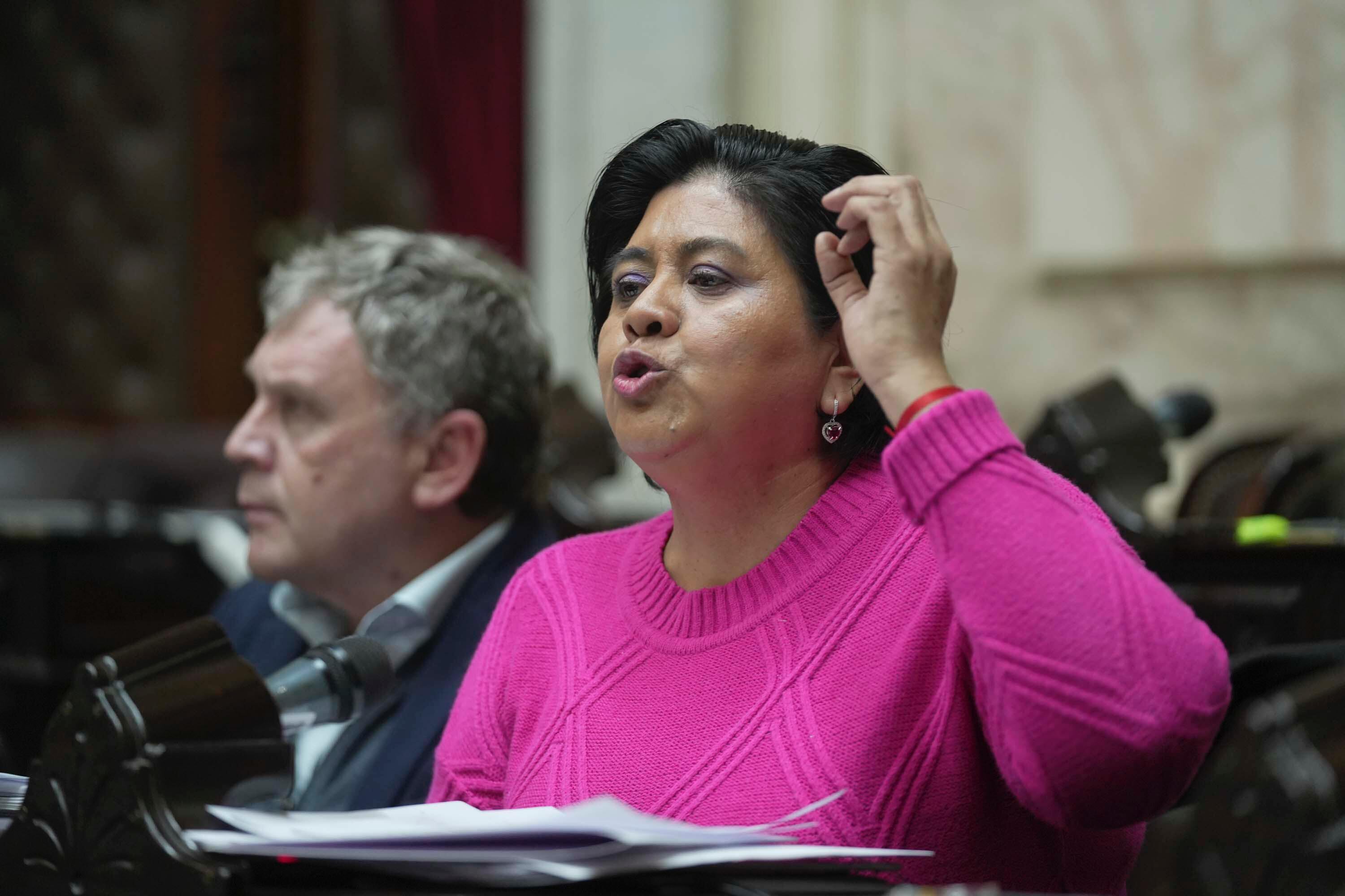 Natalia Sarapura, diputada nacional por el frente Cambia Jujuy.