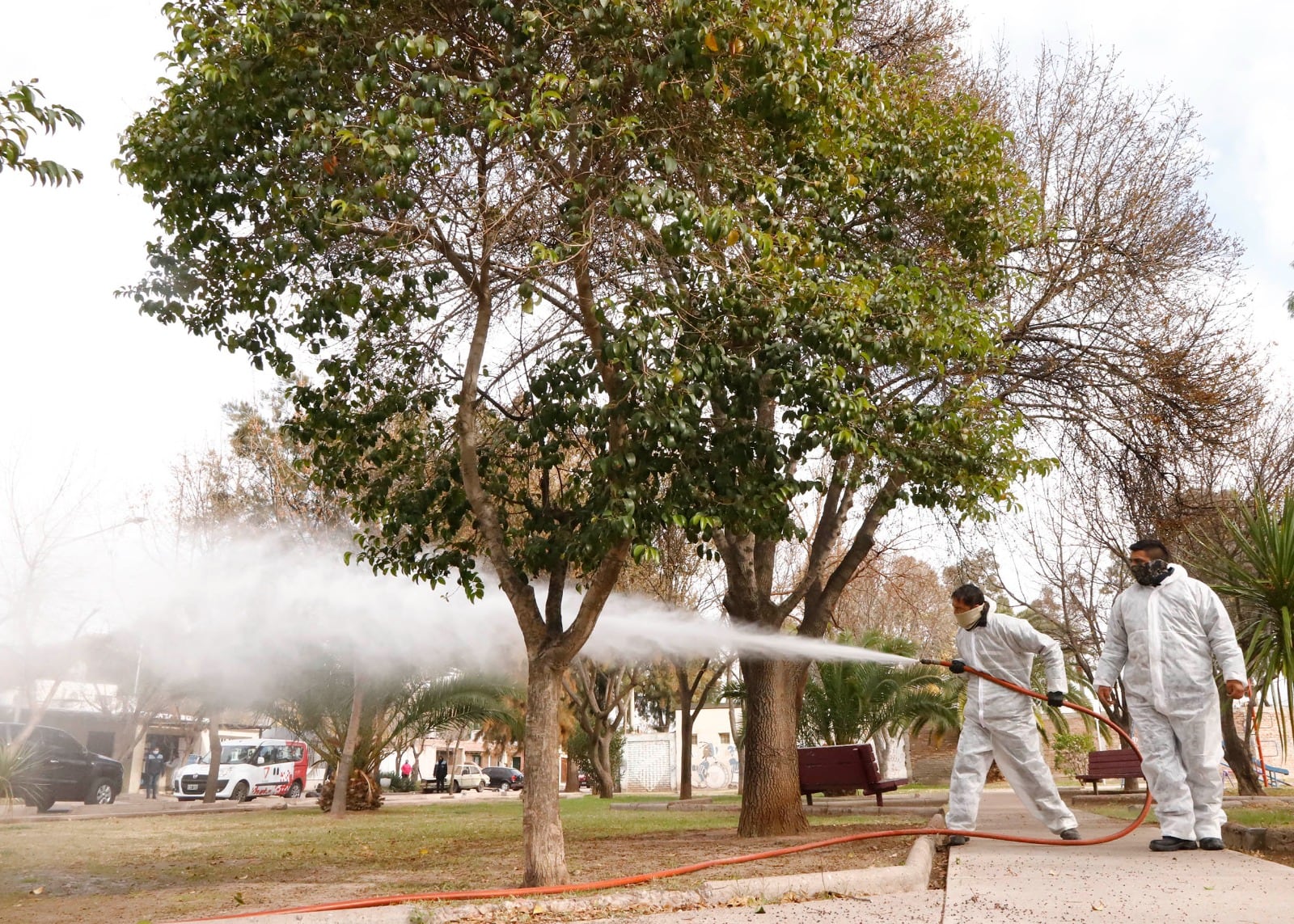 Prevención del dengue en Maipú